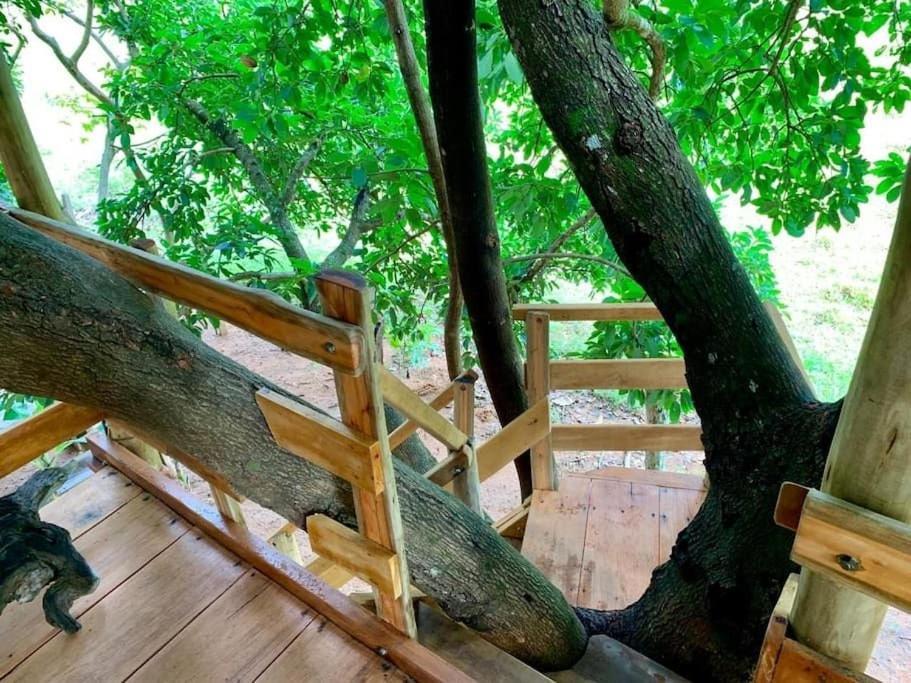 Condominio Shambala Piri Pirenópolis Kültér fotó