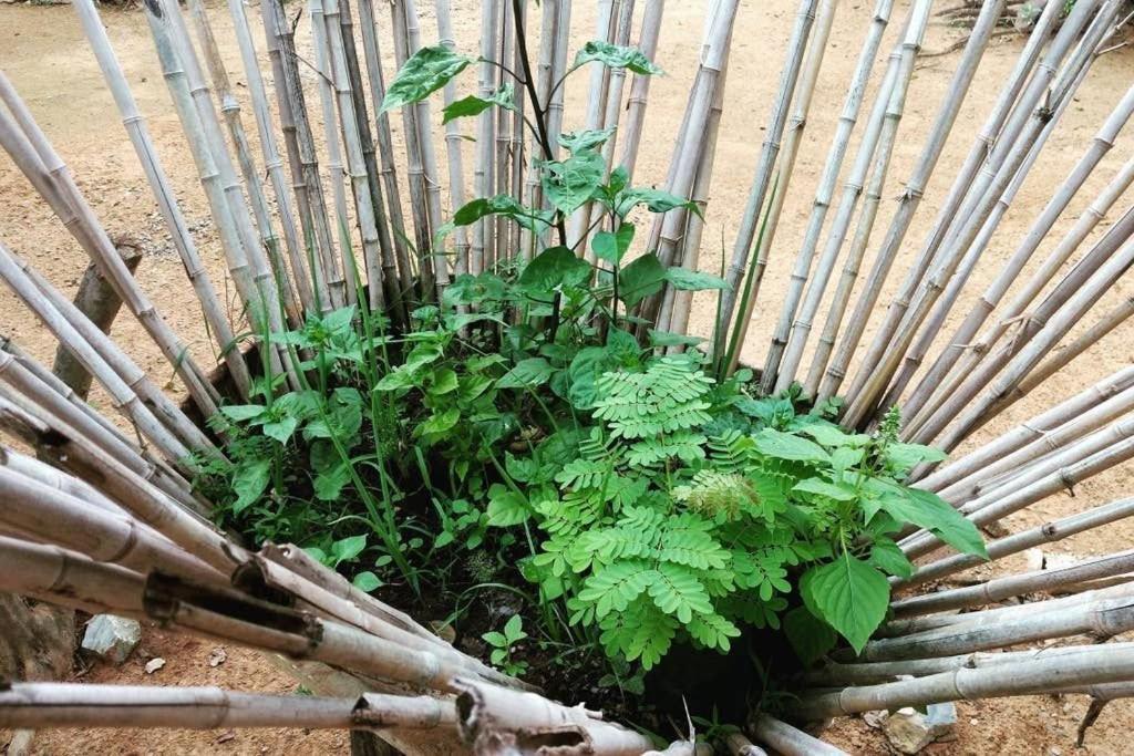 Condominio Shambala Piri Pirenópolis Kültér fotó