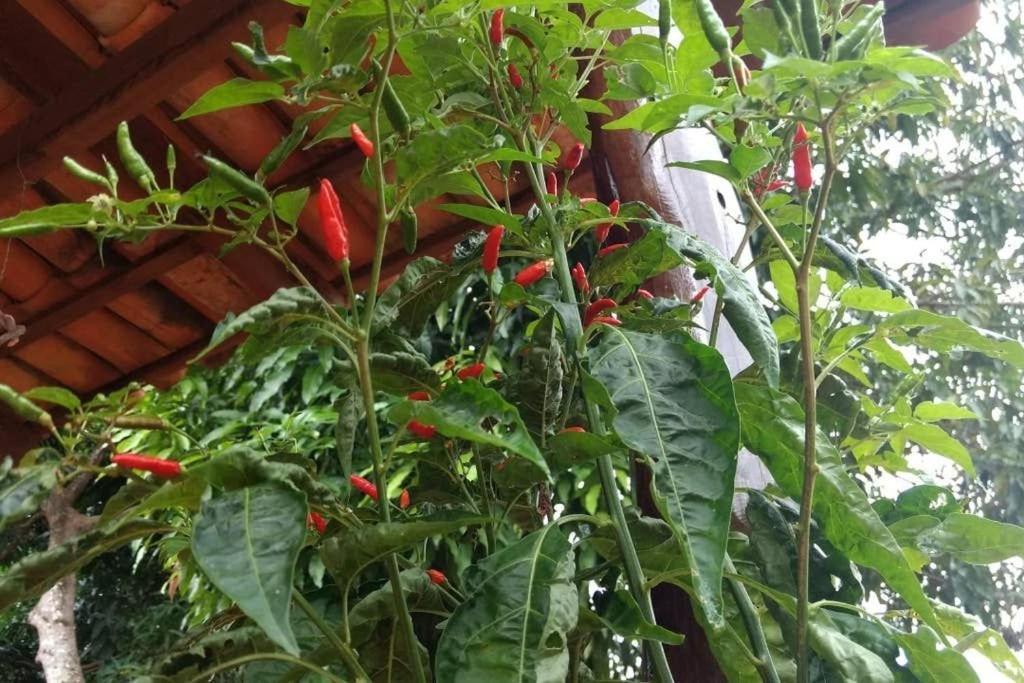 Condominio Shambala Piri Pirenópolis Kültér fotó