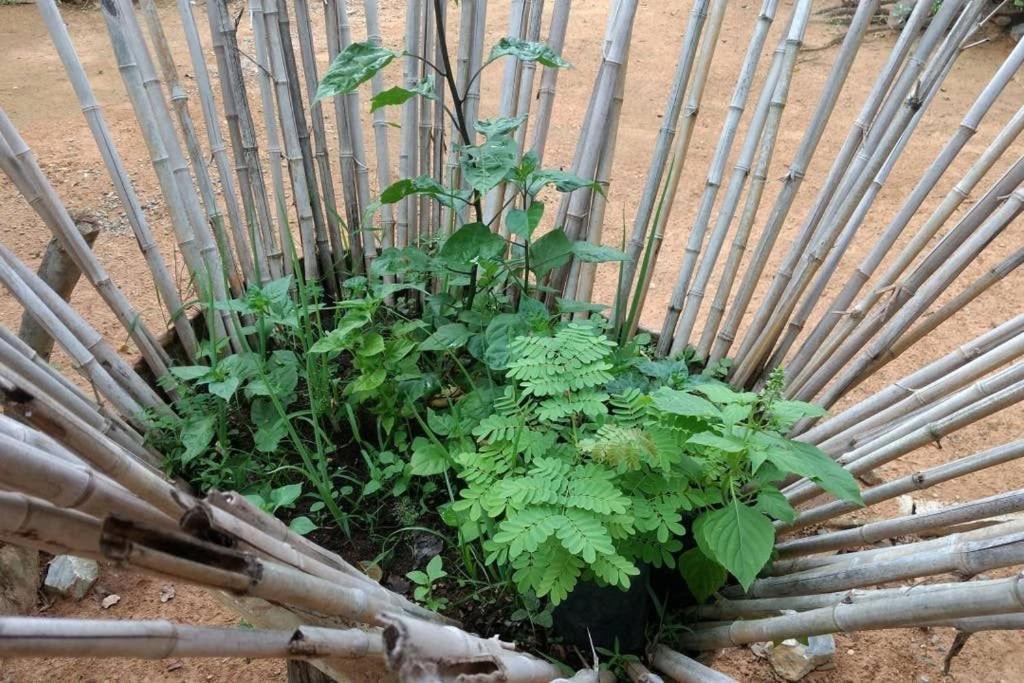 Condominio Shambala Piri Pirenópolis Kültér fotó